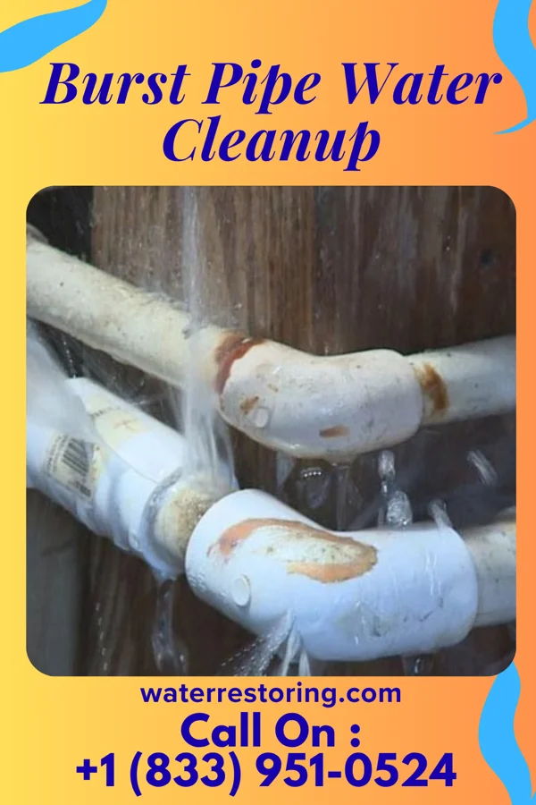 Burst Pipe Water Cleanup in Elverson, PA