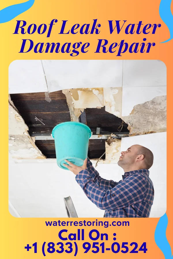 Roof Leak Water Damage Repair in Elverson, PA