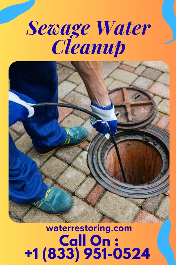 Sewage Water Cleanup in Elverson, PA